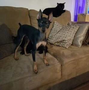 Meet your Posher, Jill